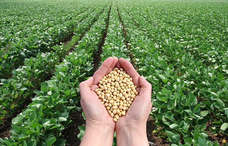 bigstock-Agricultural-Concept-35027702